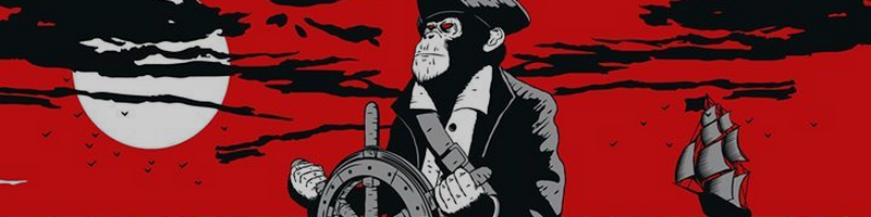 Futuradios au festival la Nuit de l'Erdre 2019 - 